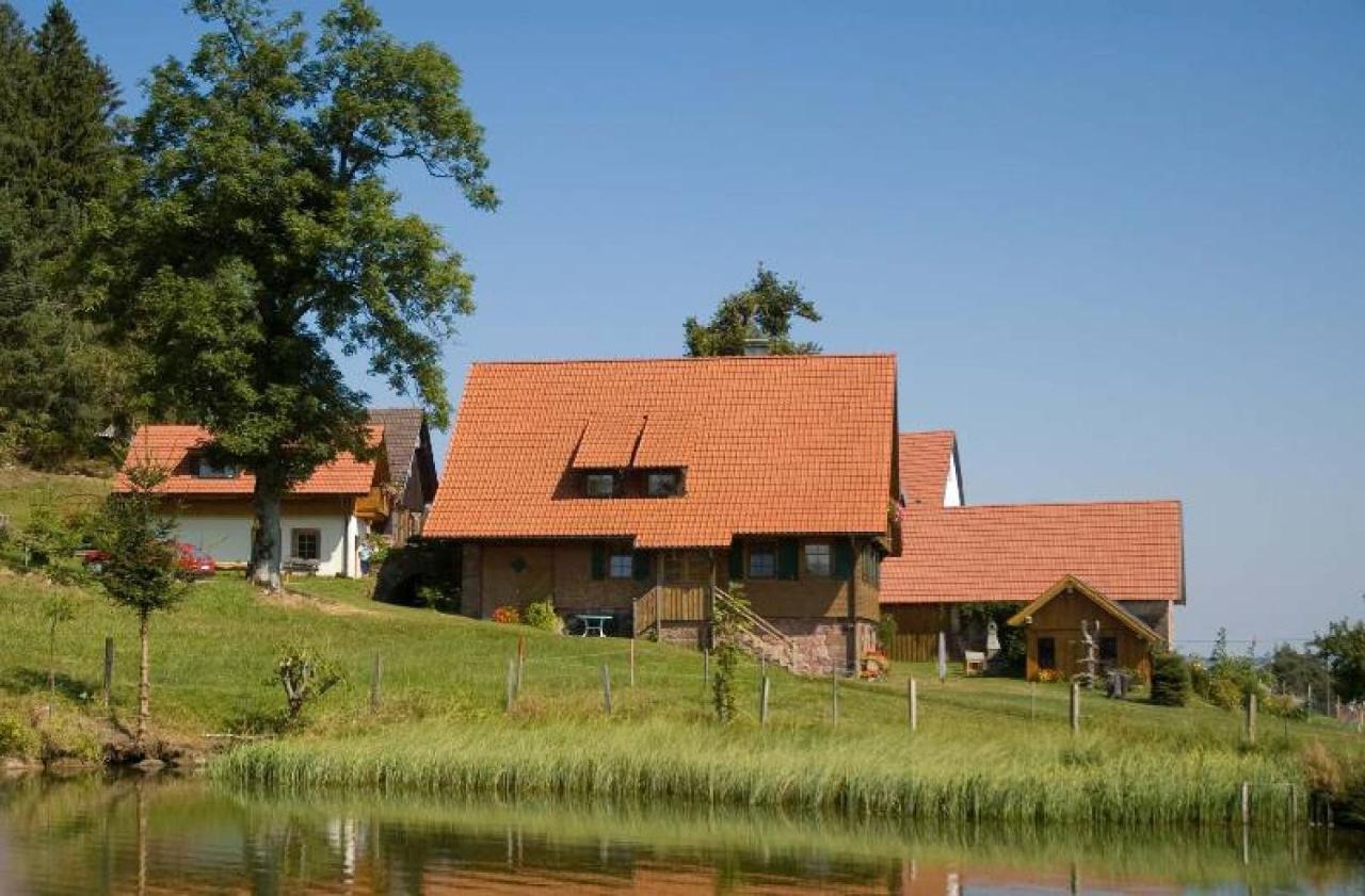 Ferienhof Kienbronnerhof Schiltach Ngoại thất bức ảnh